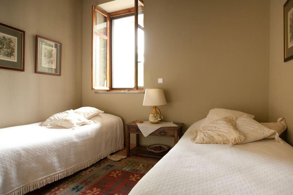 House In Delphi Villa Ngoại thất bức ảnh
